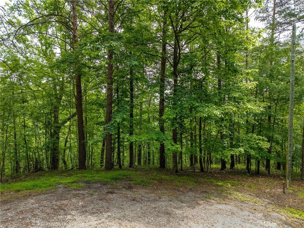 other for sale at 1331 Birch Lane, Ranger, GA 30734 — photo 2