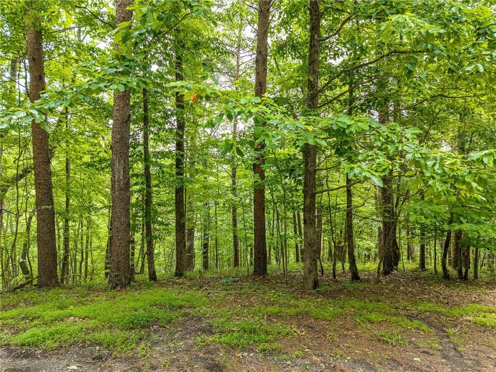 other for sale at 1331 Birch Lane, Ranger, GA 30734 — photo 3