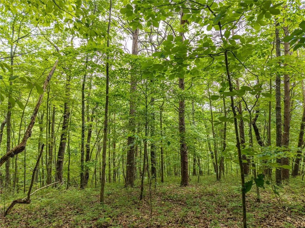 other for sale at 1331 Birch Lane, Ranger, GA 30734 — photo 4
