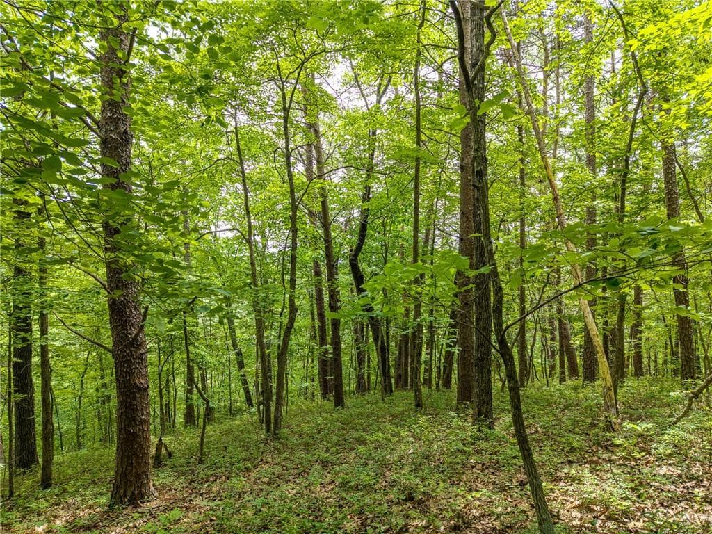 other for sale at 1331 Birch Lane, Ranger, GA 30734 — photo 5