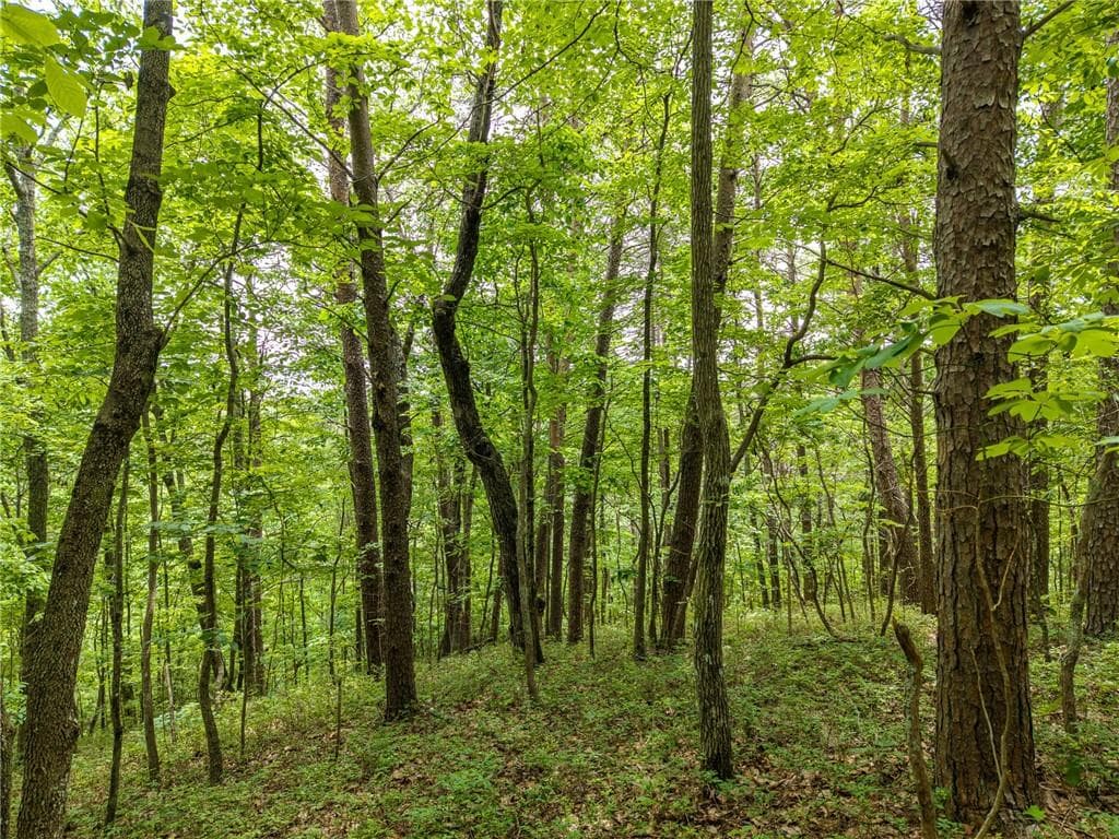 other for sale at 1331 Birch Lane, Ranger, GA 30734 — photo 6