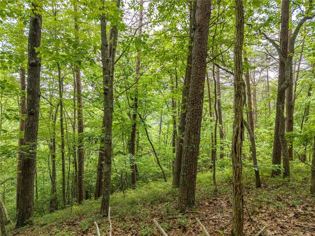 other for sale at 1331 Birch Lane, Ranger, GA 30734 — photo 7