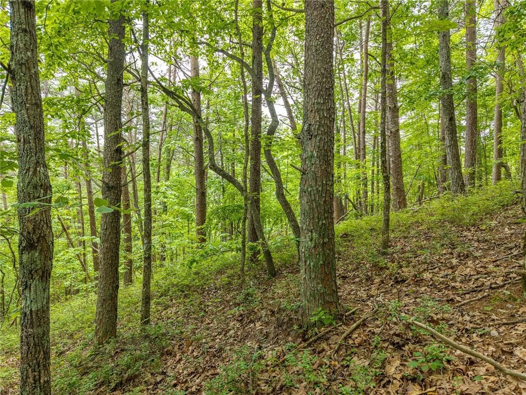 other for sale at 1331 Birch Lane, Ranger, GA 30734 — photo 8