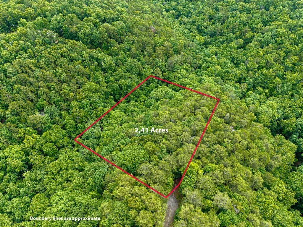 other for sale at 1331 Birch Lane, Ranger, GA 30734 — photo 9