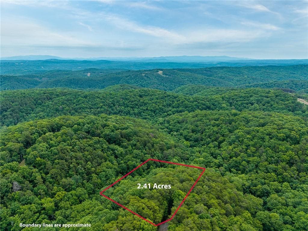other for sale at 1331 Birch Lane, Ranger, GA 30734 — photo 10