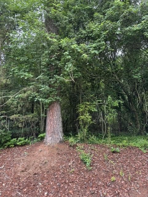 unimproved land for sale at 0 Lewis Drive, Lavonia, GA 30553 — photo 2