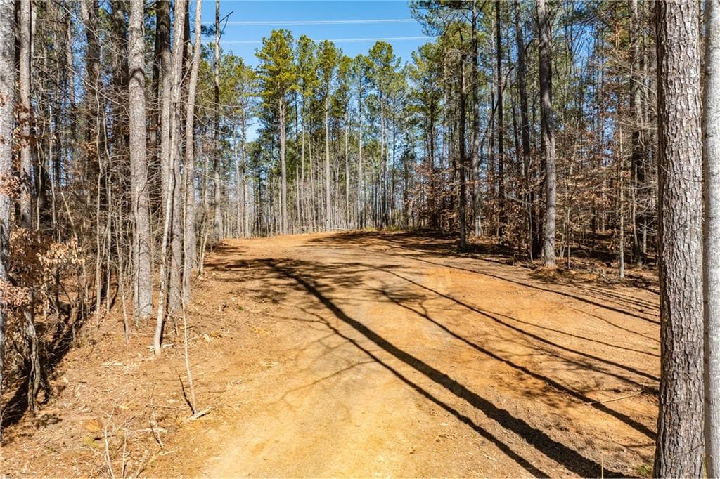 unimproved land for sale at 0 Burnt Hickory Road, Acworth, GA 30101 — photo 2