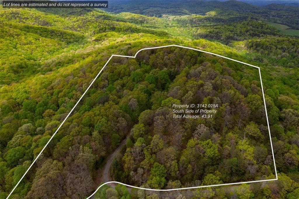 unimproved land for sale at 43.91 Old Burnt Mountain, Ellijay, GA 30540