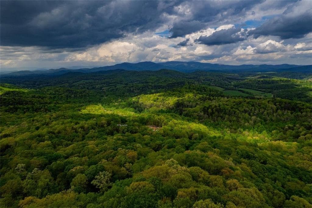 unimproved land for sale at 43.91 Old Burnt Mountain, Ellijay, GA 30540 — photo 2
