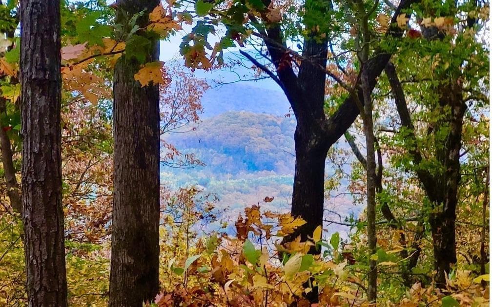 unimproved land for sale at 43.91 Old Burnt Mountain, Ellijay, GA 30540 — photo 3