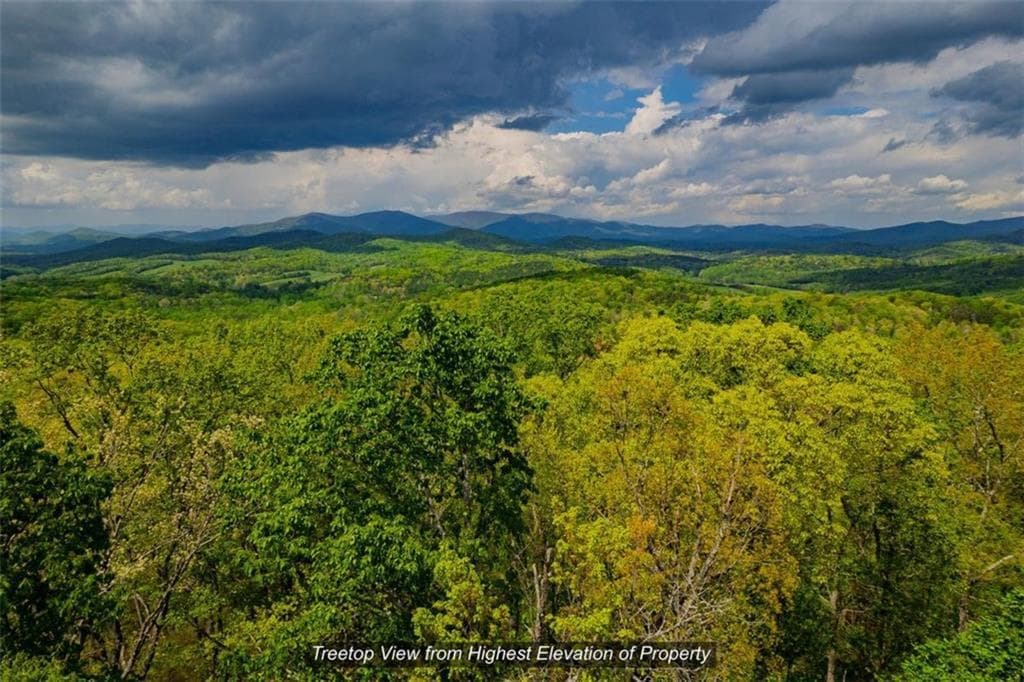 unimproved land for sale at 43.91 Old Burnt Mountain, Ellijay, GA 30540 — photo 4