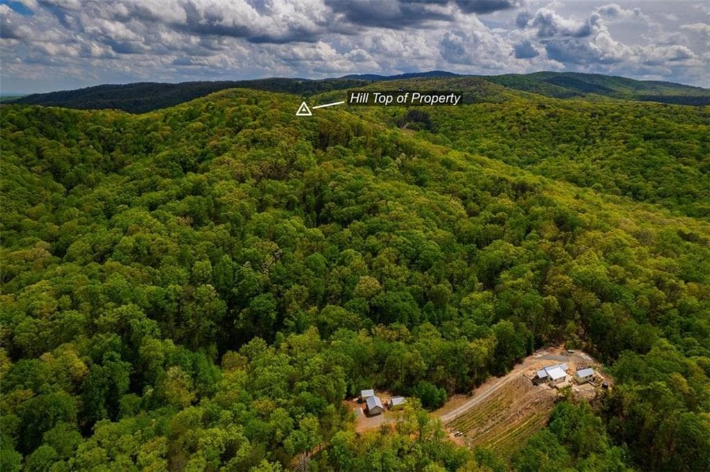 unimproved land for sale at 43.91 Old Burnt Mountain, Ellijay, GA 30540 — photo 5