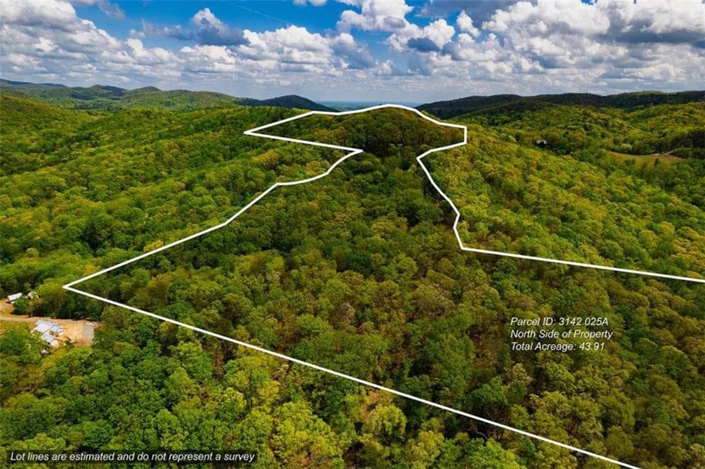 unimproved land for sale at 43.91 Old Burnt Mountain, Ellijay, GA 30540 — photo 6
