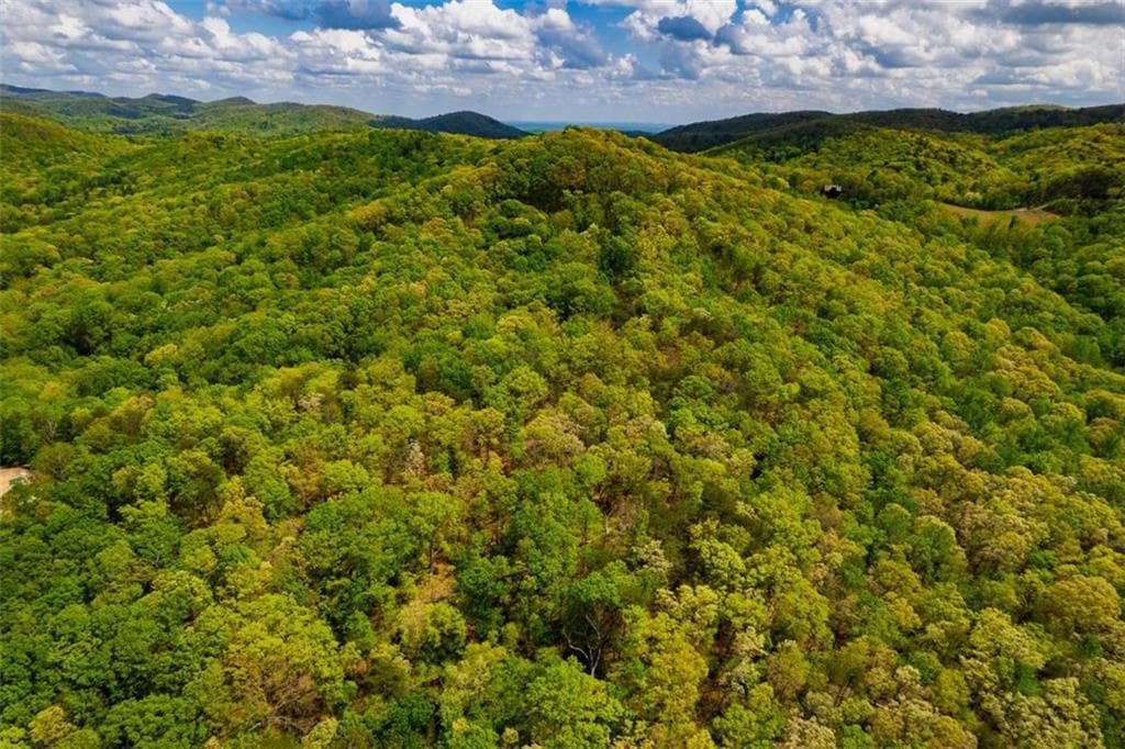 unimproved land for sale at 43.91 Old Burnt Mountain, Ellijay, GA 30540 — photo 7