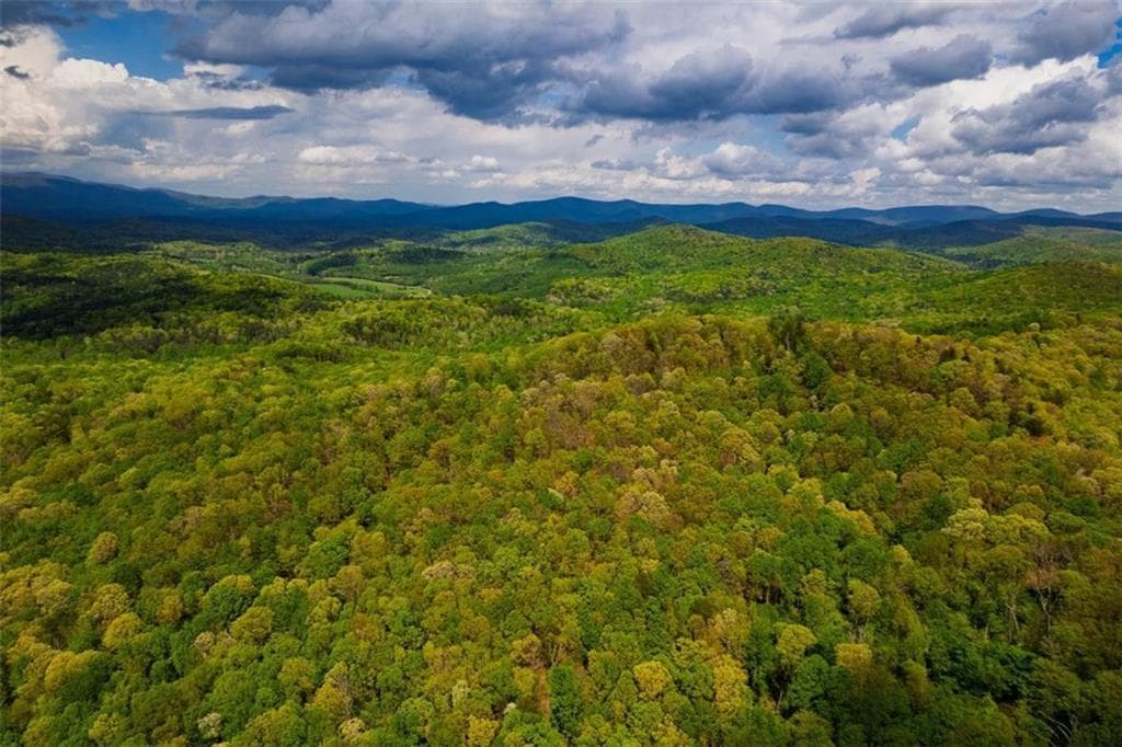 unimproved land for sale at 43.91 Old Burnt Mountain, Ellijay, GA 30540 — photo 8