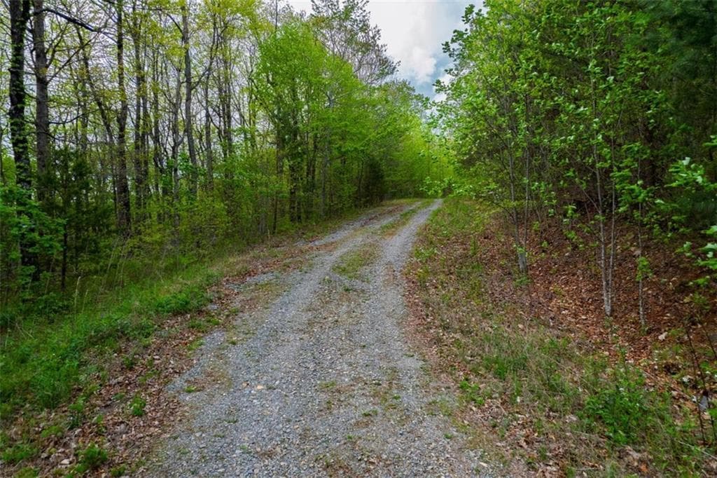 unimproved land for sale at 43.91 Old Burnt Mountain, Ellijay, GA 30540 — photo 9