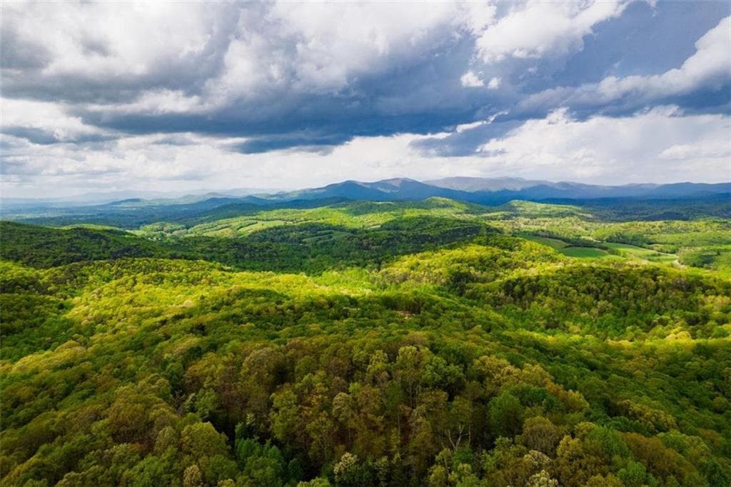 unimproved land for sale at 43.91 Old Burnt Mountain, Ellijay, GA 30540 — photo 10
