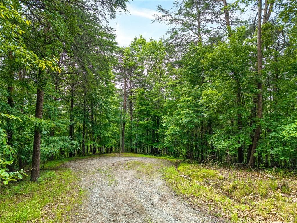 other for sale at 1332 Birch Lane, Ranger, GA 30734 — photo 1 of 48