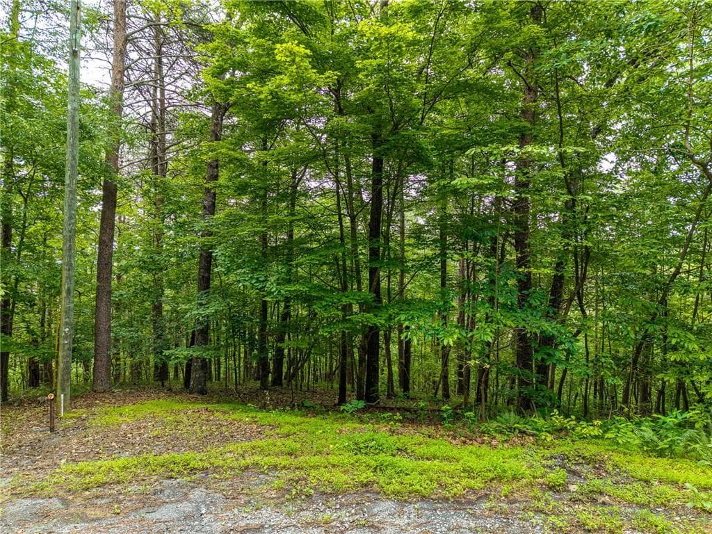 other for sale at 1332 Birch Lane, Ranger, GA 30734 — photo 2