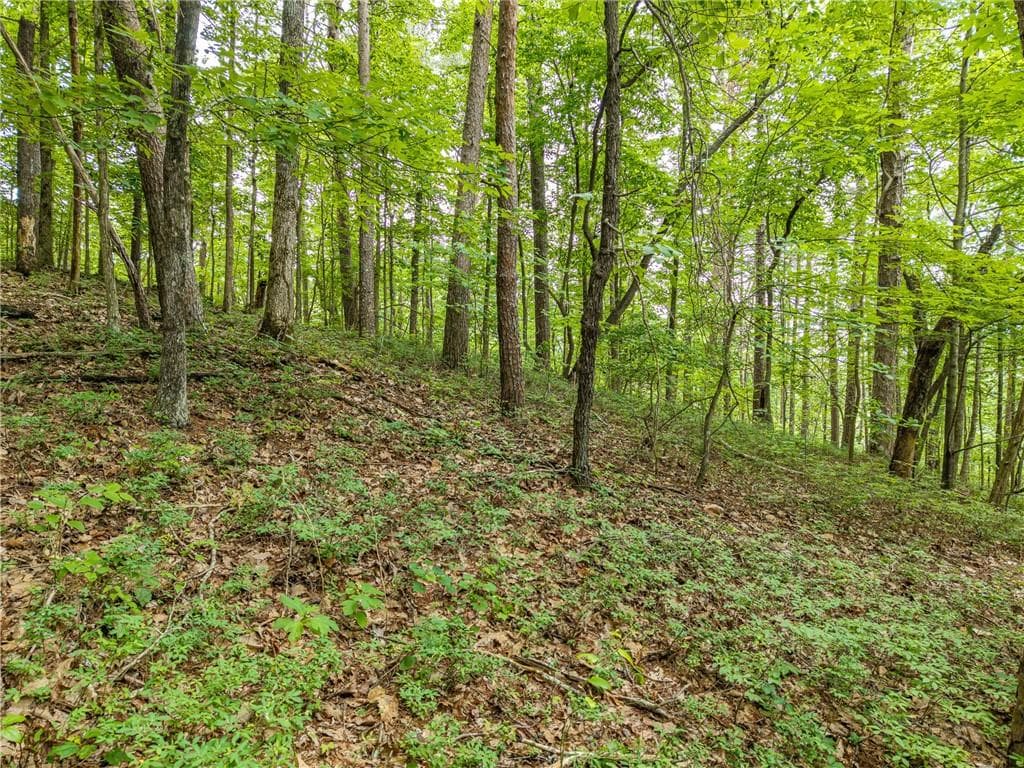 other for sale at 1332 Birch Lane, Ranger, GA 30734 — photo 5