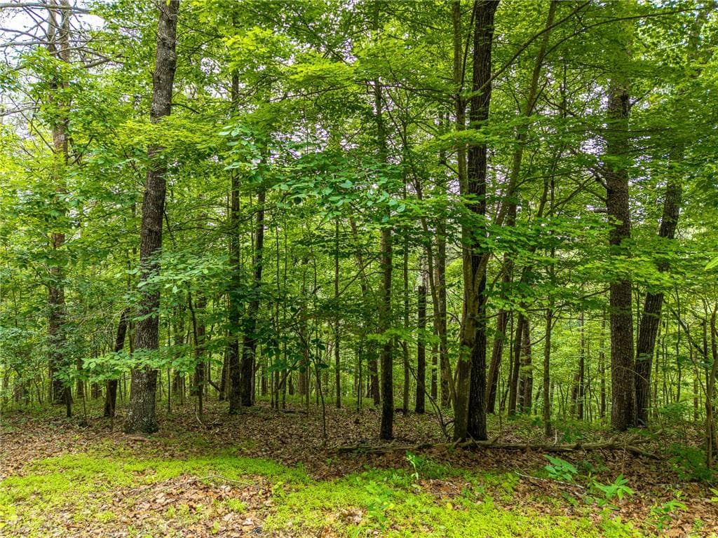 other for sale at 1332 Birch Lane, Ranger, GA 30734 — photo 8