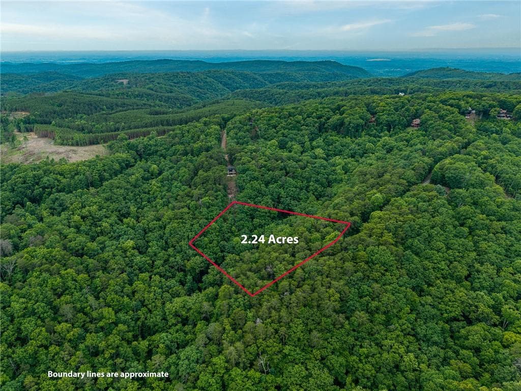 other for sale at 1332 Birch Lane, Ranger, GA 30734 — photo 10