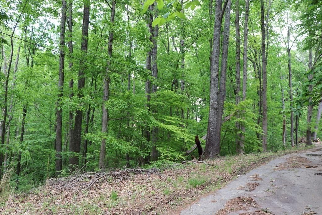 unimproved land for sale at 0 Jailette Road, South Fulton, GA 30349 — photo 2