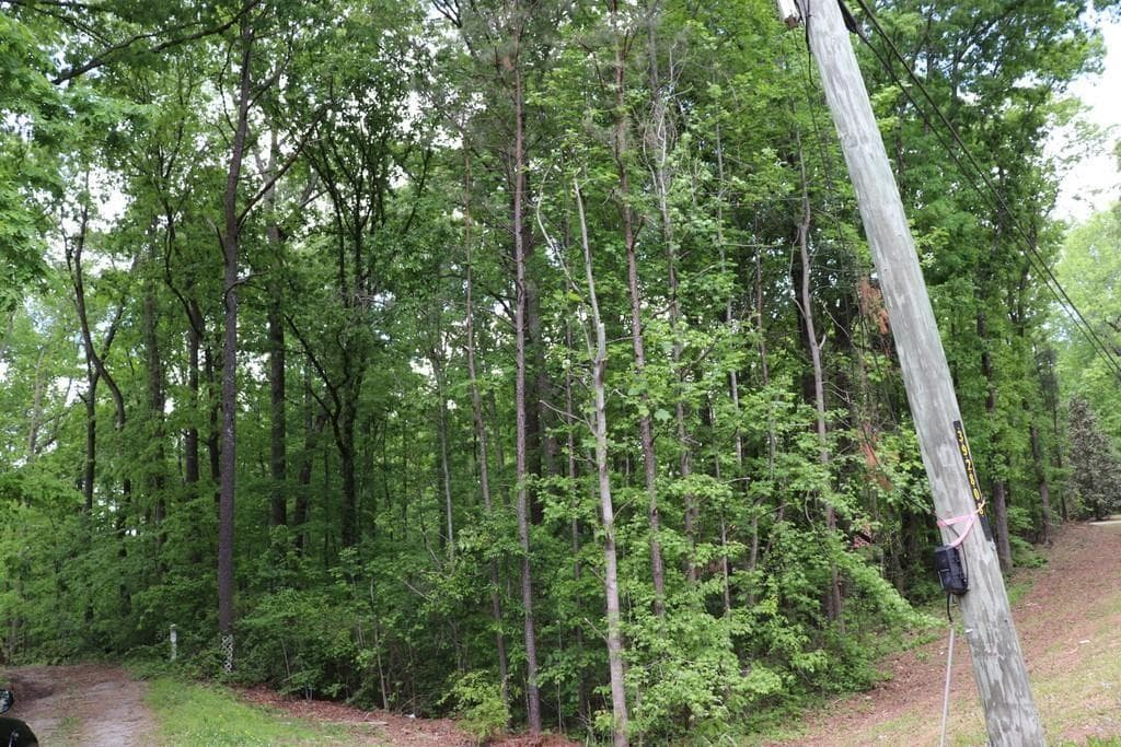 unimproved land for sale at 0 Jailette Road, South Fulton, GA 30349 — photo 3