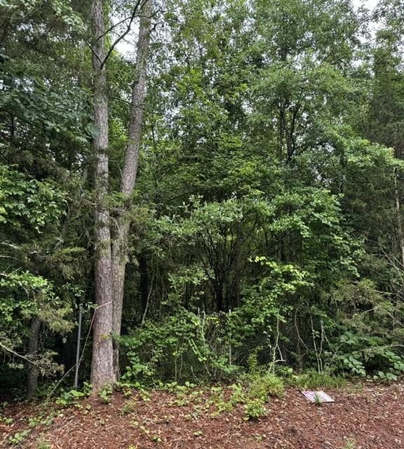 single family residence for sale at 0 Lewis Drive, Lavonia, GA 30553