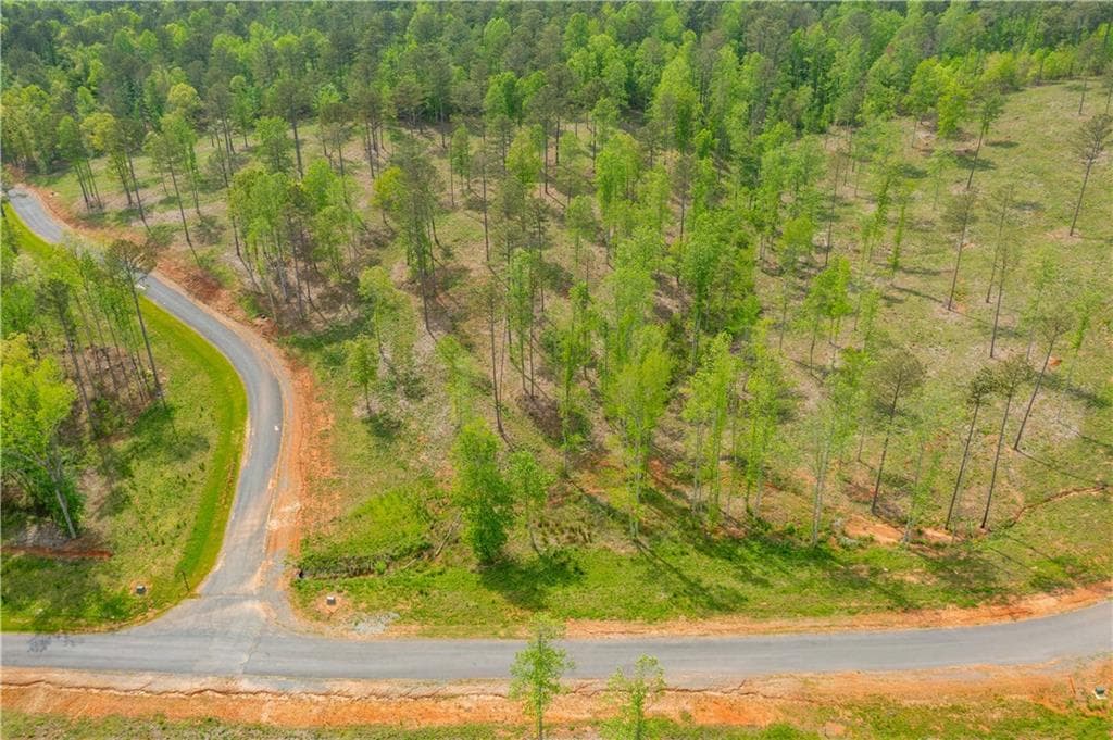 single family residence for sale at L349 Vineyard at Yukon, Ellijay, GA 30175 — photo 5