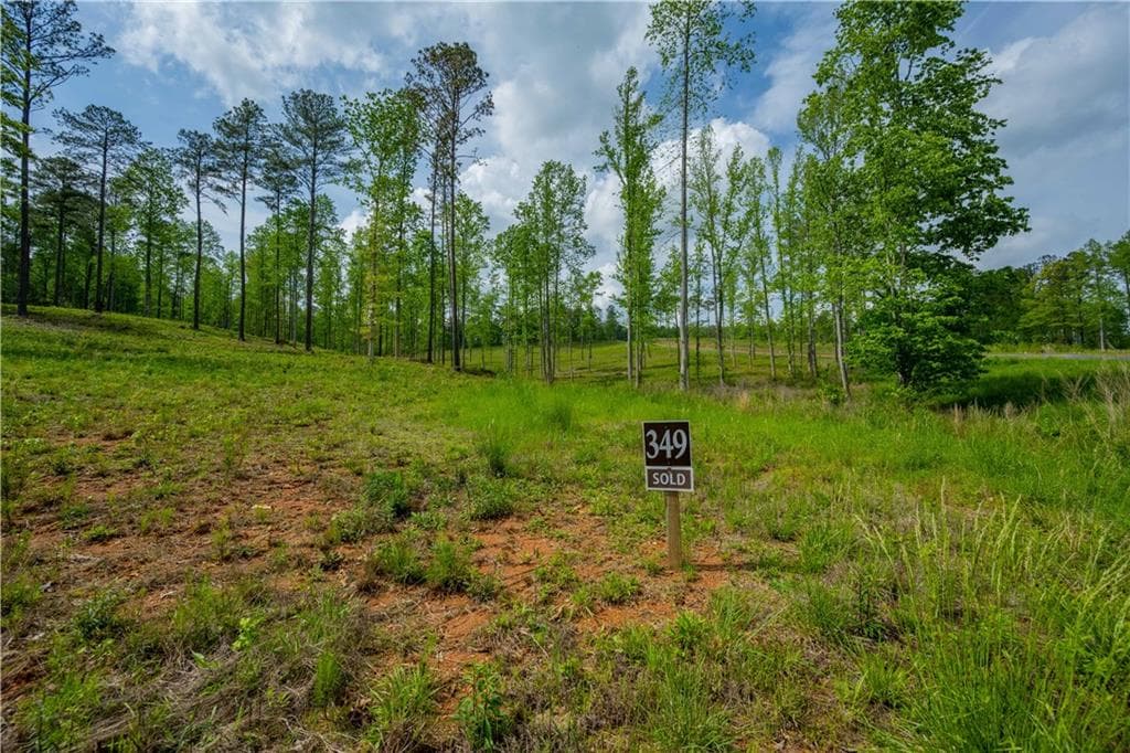 single family residence for sale at L349 Vineyard at Yukon, Ellijay, GA 30175 — photo 6