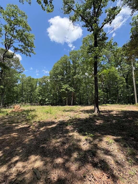 unimproved land for sale at 4492 U.S. 78, Tallapoosa, GA 30176 — photo 1 of 7