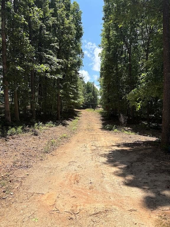 unimproved land for sale at 4492 U.S. 78, Tallapoosa, GA 30176 — photo 2