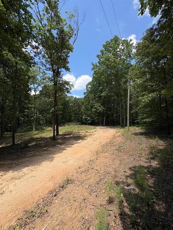 unimproved land for sale at 4492 U.S. 78, Tallapoosa, GA 30176 — photo 3