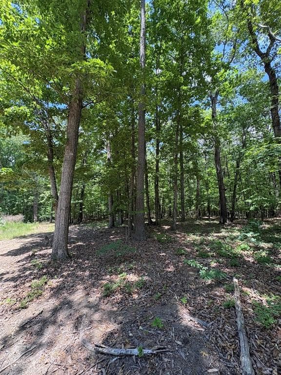 unimproved land for sale at 4492 U.S. 78, Tallapoosa, GA 30176 — photo 4