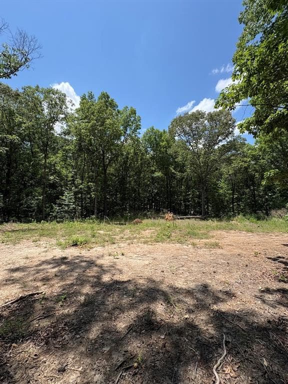 unimproved land for sale at 4492 U.S. 78, Tallapoosa, GA 30176 — photo 5