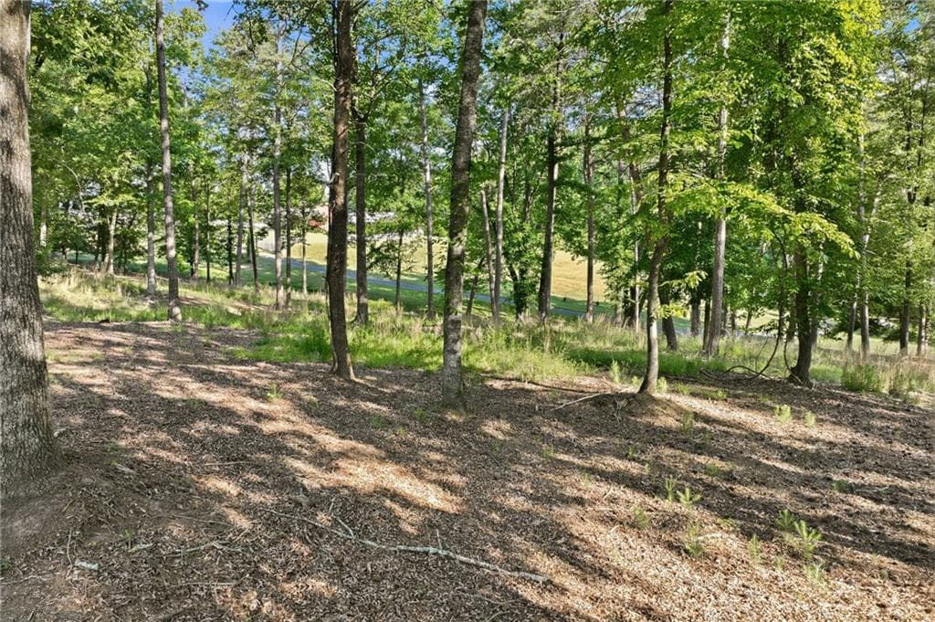2 bedroom, 2 bathroom, 1,665 sq ft single family residence for sale at 4711 Mount Vernon Road, Gainesville, GA 30506 — photo 4