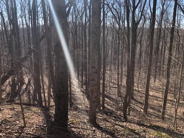 unimproved land for sale at 0 Highlands Parkway, Jasper, GA 30143 — photo 3