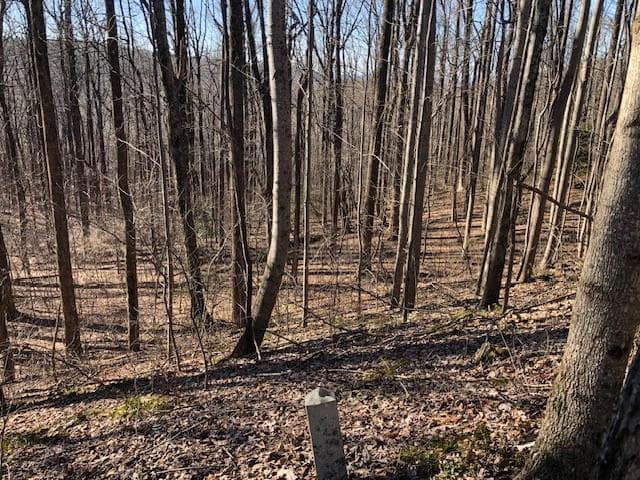 unimproved land for sale at 0 Highlands Parkway, Jasper, GA 30143 — photo 4