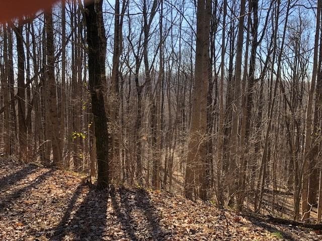 unimproved land for sale at 0 Highlands Parkway, Jasper, GA 30143 — photo 5