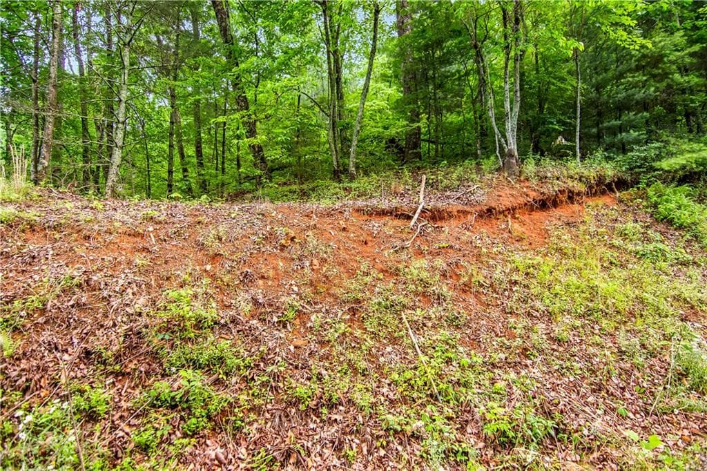 single family residence for sale at 5.58 Gobbler Knob Drive, Ellijay, GA 30540 — photo 4