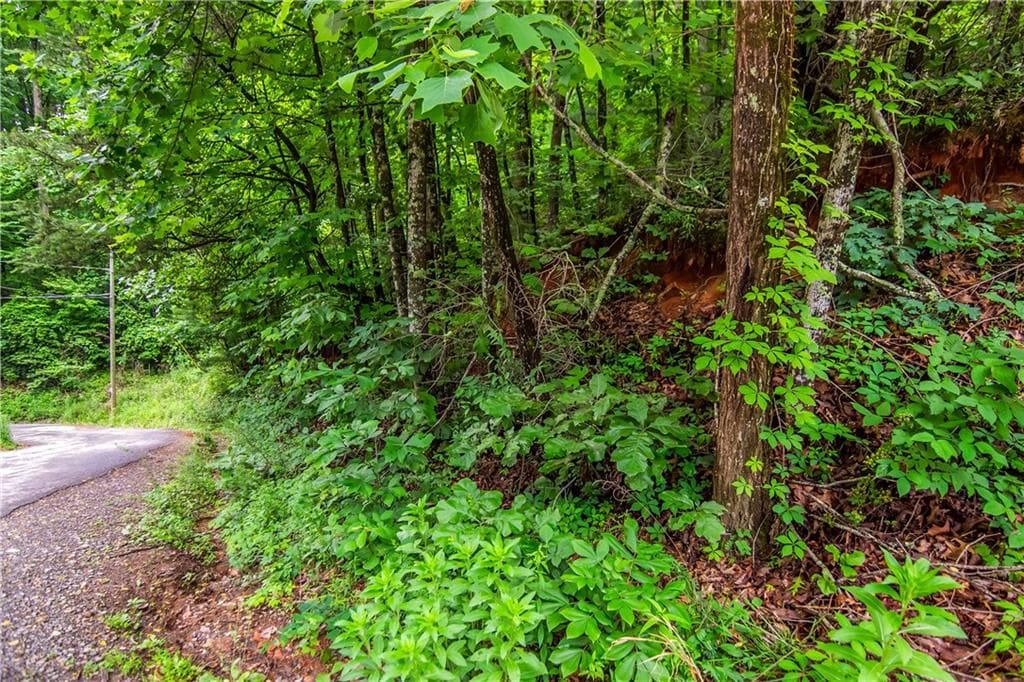 single family residence for sale at 5.58 Gobbler Knob Drive, Ellijay, GA 30540 — photo 7