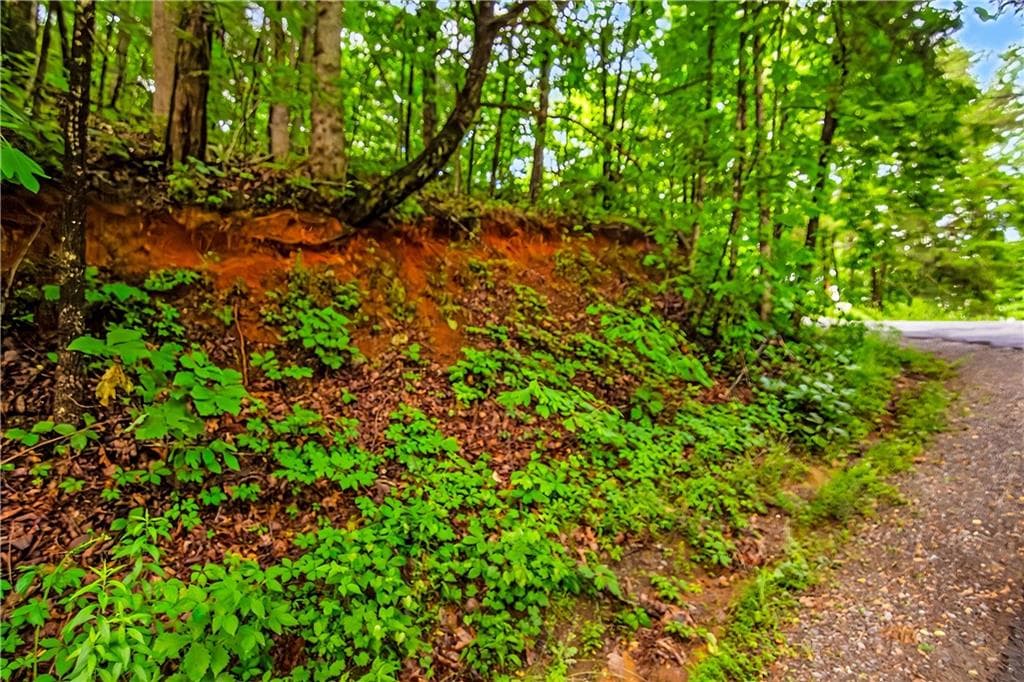 single family residence for sale at 5.58 Gobbler Knob Drive, Ellijay, GA 30540 — photo 3