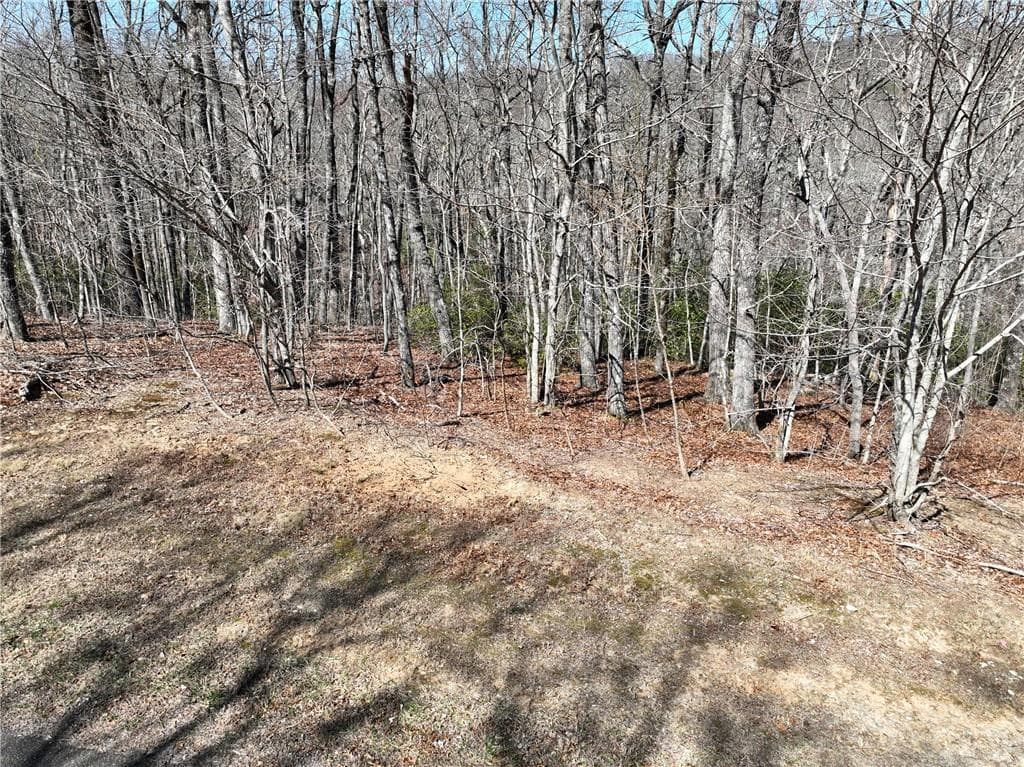 single family residence for sale at 206 Northview Parkway, Ellijay, GA 30536 — photo 8