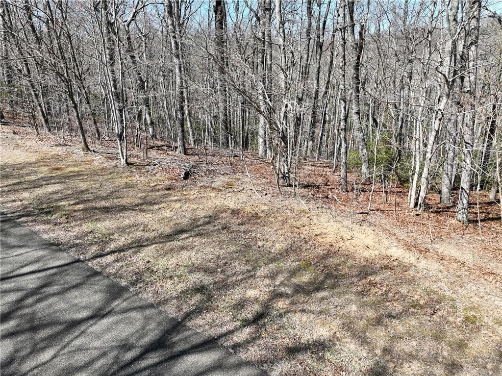 single family residence for sale at 206 Northview Parkway, Ellijay, GA 30536 — photo 10