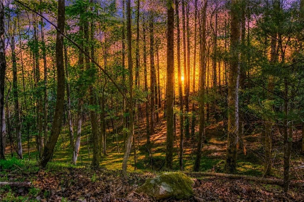 other for sale at Lot 26 Estates Drive, Ellijay, GA 30536