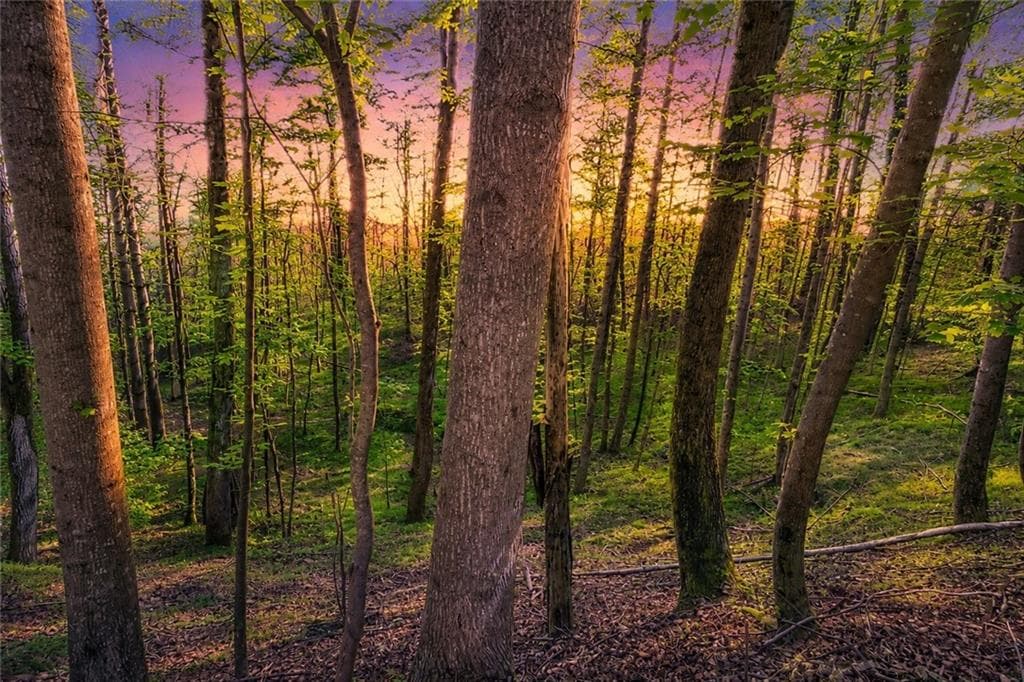 other for sale at Lot 26 Estates Drive, Ellijay, GA 30536 — photo 3