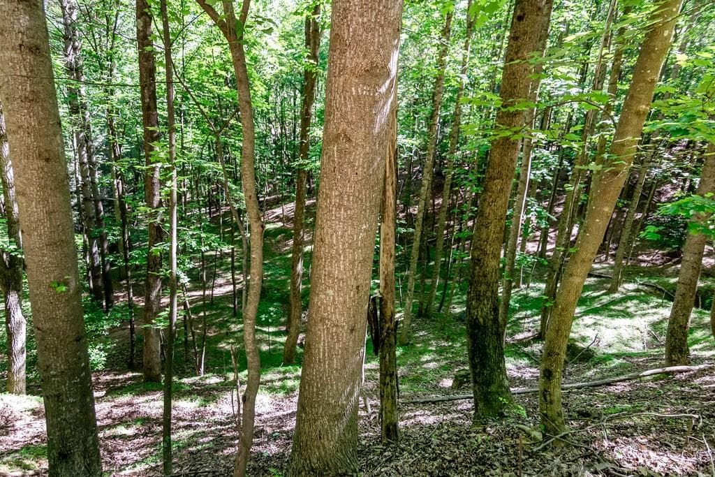 other for sale at Lot 26 Estates Drive, Ellijay, GA 30536 — photo 4