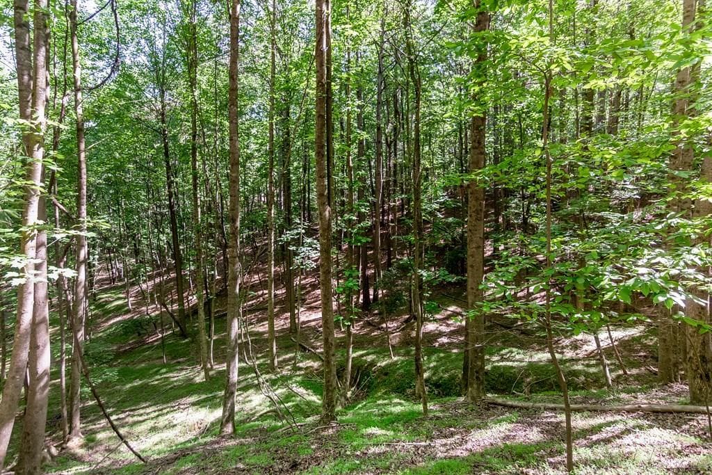 other for sale at Lot 26 Estates Drive, Ellijay, GA 30536 — photo 5