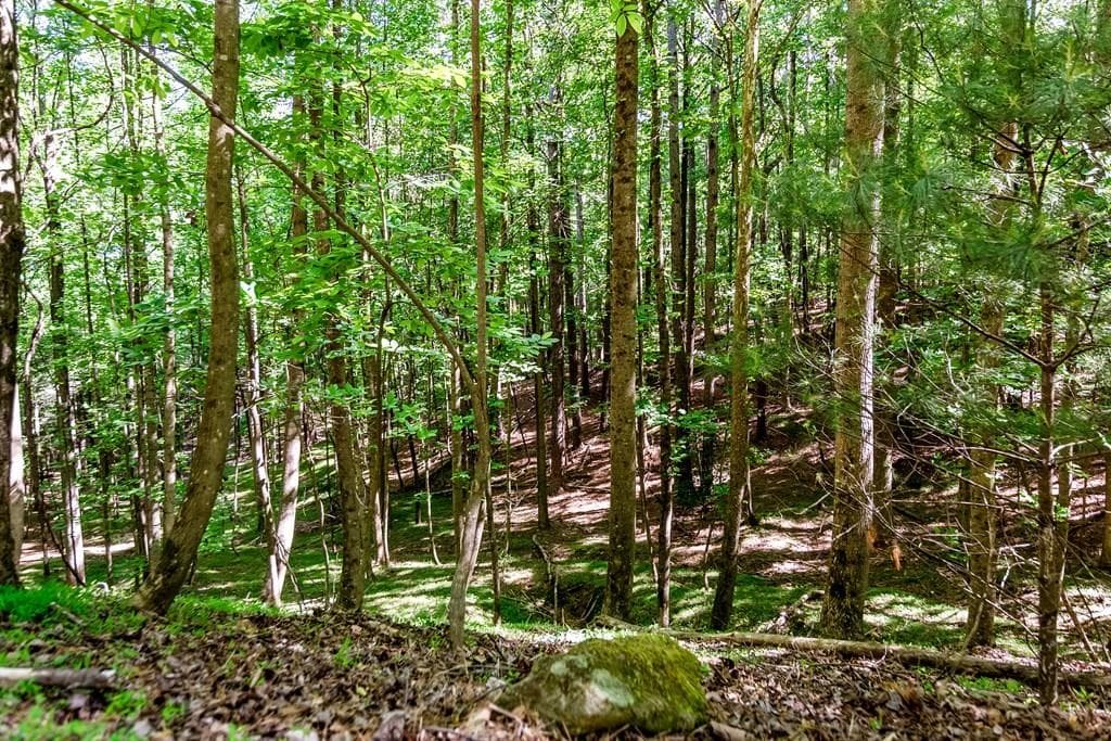 other for sale at Lot 26 Estates Drive, Ellijay, GA 30536 — photo 6